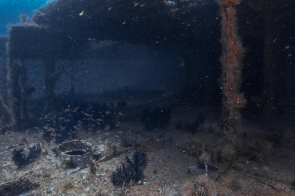 Wreck Dive by Michael Brown